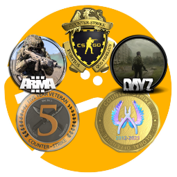 ⭐️ DayZ // Arma 3 // CS2 Prime // 17 Games⭐️ 3 Medals // Private Rank: 10 ⭐️ 13 Years of Service ⭐️ 8 lvl ⭐️ For Main ⭐️ 0